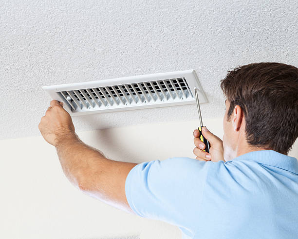 Best Mold Damage Restoration  in Elysburg, PA